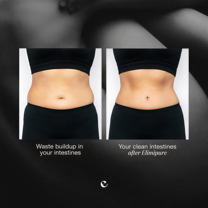 Digestive Support Supplement for Regularity & Gut Health
